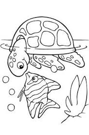 Top 15 Free Printable Sea Animals Coloring Pages Online Turtle Coloring Pages Animal Coloring Pages Fish Coloring Page