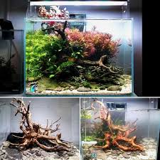 Pin By Dora Mares On Animal Water Scapes In 2020 Aquascape Aquarium Driftwood Live Aquarium Plants