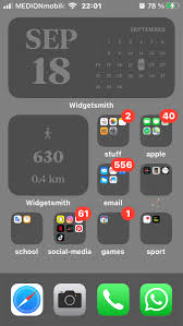 Pin On Ios Widget