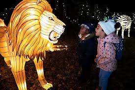 Review Visiting The Bronx Zoo Holiday Lights With Kids Bronx Zoo Holiday Lights Zoo Lights