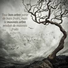 Es Tu Un Bon Arbre Bible En Francais Arbre Versets