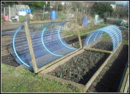 Image Result For Design For Allotment Garden Projects Raised Garden Diy Garden
