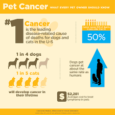 How To Address And Where To Check For Lumps And Bumps In Dogs Cats Healthcare For Pets Pet Cancer Pet Cancer Awareness World Cancer Day