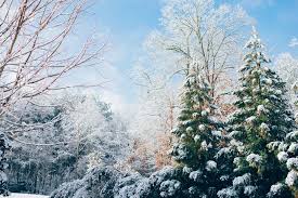 Winter Wallpapers Free Hd Download 500 Hq Unsplash Get 5 videos every month with our latest video subscription — including access to every hd and 4k clip in our library. winter wallpapers free hd download