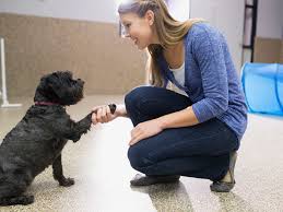 Watson's article 'psychology as the behaviorist views it' is often referred to as the behaviorist, in his efforts to get a unitary scheme of animal response. Learn About Being An Animal Behaviorist