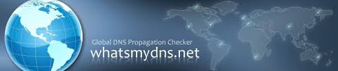 User Can T Get To Remote Access Site Doing This Fixed That Thanks To Arbi Dns Dns Records Propagation
