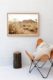 Rocky Views Chairs For Small Spaces Cheap Office Chairs French Chairs