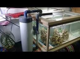 Filter Aquarium Dari Paralon Bekas How To Make Aquarium Filters Youtube Aquarium Akuarium Ikan