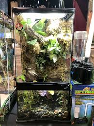 Pin On Terrariums