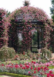 Garden Arches Garden Gazebo Rose Garden Design Garden Garden Landscaping Cottage Garden The Haylesros In 2020 Rose Garden Design Beautiful Gardens Garden Gazebo