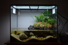 Tanganyikan Paludarium Aquascape Aquarium Saltwater Fish Tanks Aquarium