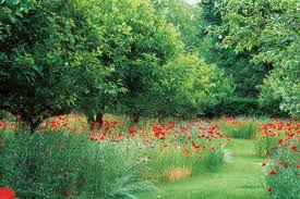Tree Planting Ideas Design Tips Garden Design Fruit Tree Garden Fruit Trees Garden Design Sloped Garden
