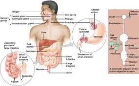 Pin On Health Wellness Illness
