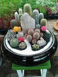 27 Beauty Cactus And Succulent Garden Ideas For Indoor Gardendesign Gardeningtips Gardening Gardenpotsdesigns Succulent Garden Diy Succulents Plants