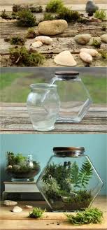 Beautiful Diy Terrarium In 3 Easy Steps No Care For 3 Months How To Make Terrariums Terrarium Diy Terrarium Jar