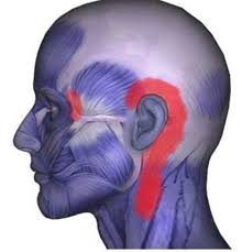 Pin On Pain Behind Ear