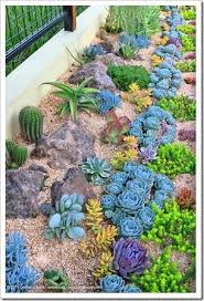 Gorgeous Planting Pattern For Succulents 1 Year After Planting Succulents And More Revisit Succulent Garden Landscape Succulents Succulent Landscape Design