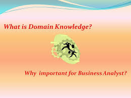 What Is Domain Knowledge Domain Knowledge Business Analyst Career Business Analyst