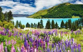 Beautiful Spring Landscape Images New Spring Pictures Spring Landscape Landscape Wallpaper