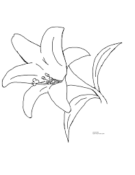 Easter Lily Clipart Images Pictures Becuo Flower Coloring Pages Easter Lily Lilies Drawing