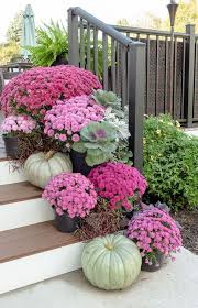 Range Of Same Color Mums On A Porch Add Some Accent Greens And Pumpkins And It S An Easy Way To Decorate Your P Fall Garden Decor Autumn Garden Fall Planters
