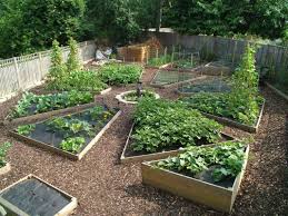 Image Result For Colorado Vegetable Garden Garden Design Garden Planning Vegetable Garden Design