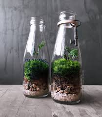 Milk Bottle Terrarium Live Plants Vintage Style Decor Milk Jar Planter Bottle Garden Glass Bottle Diy Terrarium Plants For Sale