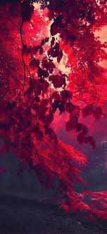 Iphone 11 Wallpaper Red Autumn 4k Hd Download Free Hd Wallpaper Screensavers Abstract Iphone Wallpaper Iphone Wallpaper Texture Samsung Wallpaper