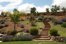 Pin By Lian Johnson On Gardens I Love Sloped Backyard Sloped Garden Hillside Landscaping