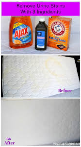 Reddish stains on your mattress from bugs that have been crushed. Tip On How To Clean Mattress Pee Stain Video