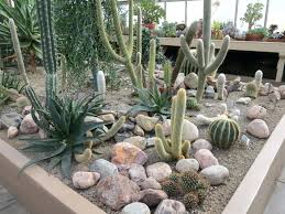 56 Best Images About Cactus Garden Ideas On Pinterest Gardens Plants And Planterslandscapi Outdoor Cactus Garden Cactus Garden Design Cactus Garden Landscaping