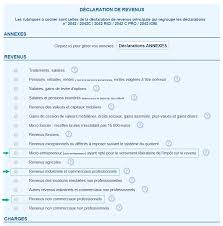 Comment devenir auto entrepreneur ? La Declaration D Impots 2020 Des Revenus 2019 2042 C Pro