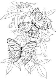 Pin On Digi Images