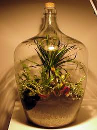 How To Make A Bottle Garden Bottle Garden Container Gardening Terrarium