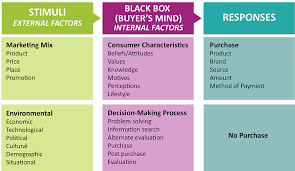 Reading The Black Box Of Consumer Behavior Principles Of Marketing