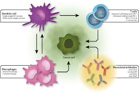 Nanotechnology And Immunotherapy In Ovarian Cancer Tracing New Landscapes Journal Of Pharmacology And Experimental Therapeutics