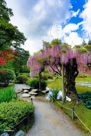 Seattle Japanese Garden Seattle Japanese Garden Japanese Garden Garden Design Pictures
