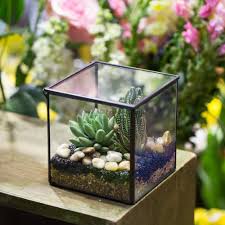 Small Square Clear Glass Geometric Terrarium Box Succulent Fern Moss Plant Micro Landscape Terrariu Terrarium Centerpiece Geometric Terrarium Moss Centerpieces