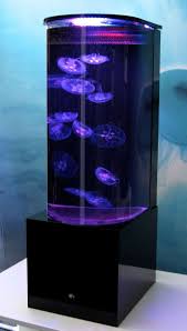 Moon Jellyfish For Sale Jellyfish Tanks For Sale Eon Jellyfish Aquarium Jellyfish Aquarium Aquarium Aquarium Design