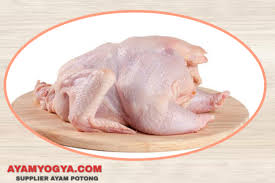 Pin Di Supplier Ayam Potong Jogja