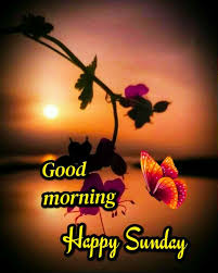 Good Morning Images For Whatsapp Free Download Hd Wallpaper Pictures Photos Of Good In 2020 Good Morning Happy Sunday Good Morning Sister Good Morning Sunday Images