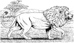 Free Printable Realistic Lion Coloring Pages For Grown Ups Letscolorit Com Lion Coloring Pages Animal Coloring Pages Cat Coloring Page