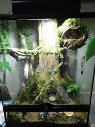 Myianicolee Gecko Vivarium Crested Gecko Habitat Reptile Habitat