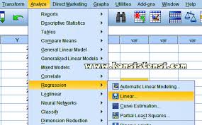 Uji Regresi Sederhana Dengan Spss Lengkap Konsistensi