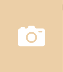 Camera App Icon App Icon Cute Camera Orange Aesthetic
