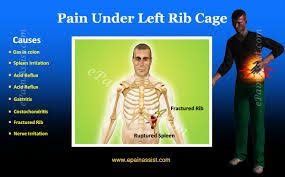 Pin On Gastroparesis Gastritis