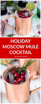 A Holiday Moscow Mule Recipe Served In A Copper Mug Christmas Cocktails Recipes Mule Recipe Moscow Mule Recipe