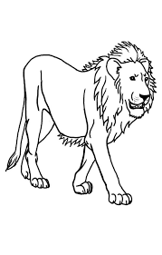 15 Lion Coloring Page Printable In 2020 Lion Pictures Lion Coloring Pages Animal Coloring Pages