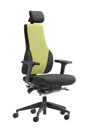 Apex Posture Heavy Duty Office Chairs Chair Popular Chair Headrest