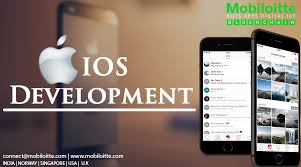 Iphone Application Development Company Ios App Development Ios Application Development App Development